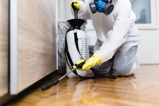 Best Best Pest Control Companies  in Kahului, HI