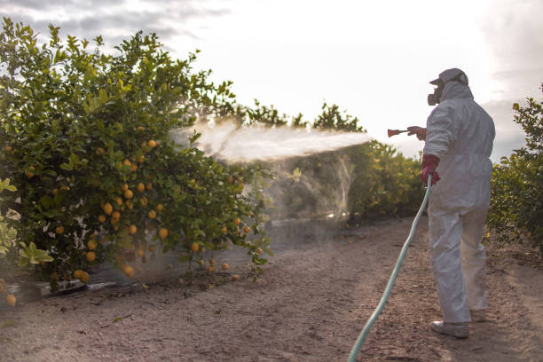 Best Commercial Pest Control Services  in Kahului, HI