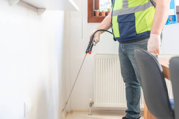 Best Residential Pest Control  in Kahului, HI