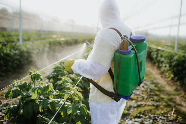 Professional Pest Control in Kahului, HI